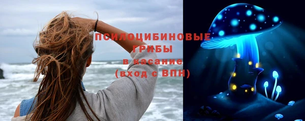 а пвп мука Абаза